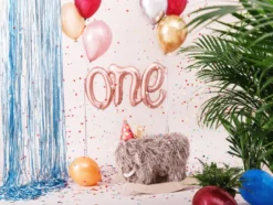 Ballongbanner -