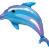Delightful Dolphin
