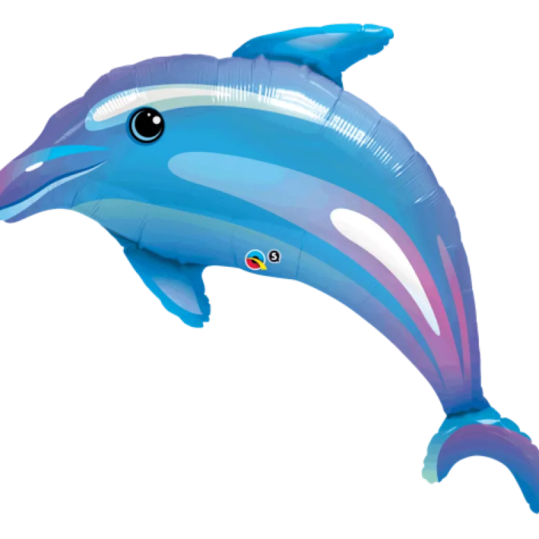Delightful Dolphin
