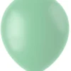 Gummiballonger - Powder Pistache Matt