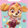 Paw Patrol - Skye And Everest