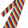Rainbow Slips